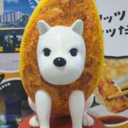 ヒメ日記 2025/09/30 09:31 投稿 つくも 熟女の風俗最終章 宇都宮店