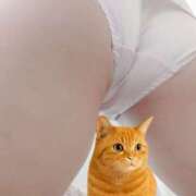 ヒメ日記 2025/10/12 21:57 投稿 つくも 熟女の風俗最終章 宇都宮店