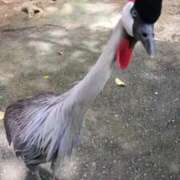 ヒメ日記 2025/12/30 14:31 投稿 つくも 熟女の風俗最終章 宇都宮店