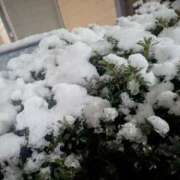 ヒメ日記 2026/01/02 20:51 投稿 つくも 熟女の風俗最終章 宇都宮店