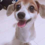 ヒメ日記 2026/02/02 20:02 投稿 つくも 熟女の風俗最終章 宇都宮店