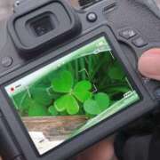 ヒメ日記 2026/02/27 13:54 投稿 つくも 熟女の風俗最終章 宇都宮店