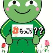 ヒメ日記 2026/03/13 10:34 投稿 つくも 熟女の風俗最終章 宇都宮店