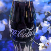 ヒメ日記 2026/03/19 20:01 投稿 つくも 熟女の風俗最終章 宇都宮店