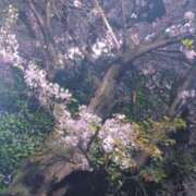 ヒメ日記 2026/04/08 18:21 投稿 つくも 熟女の風俗最終章 宇都宮店