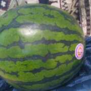 ヒメ日記 2026/04/26 13:41 投稿 つくも 熟女の風俗最終章 宇都宮店