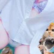 ヒメ日記 2026/05/12 19:08 投稿 つくも 熟女の風俗最終章 宇都宮店