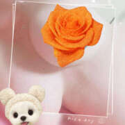 ヒメ日記 2025/11/13 16:05 投稿 リカコ 月兎（GET）