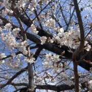 ヒメ日記 2025/04/07 13:42 投稿 せしる 横浜・関内サンキュー