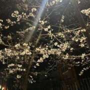 ヒメ日記 2025/04/07 18:02 投稿 せしる 横浜・関内サンキュー