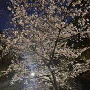 ヒメ日記 2025/04/08 00:12 投稿 せしる 横浜・関内サンキュー