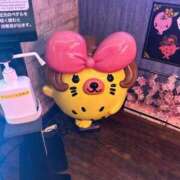 ヒメ日記 2025/04/08 05:02 投稿 せしる 横浜・関内サンキュー