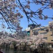 ヒメ日記 2025/04/11 12:04 投稿 せしる 横浜・関内サンキュー