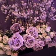 ヒメ日記 2025/04/16 20:22 投稿 せしる 横浜・関内サンキュー