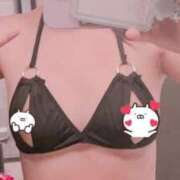 せしる 今日しか居ないよ！最終日 横浜・関内サンキュー