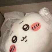 せしる 広島に帰ります🚗³₃ 横浜・関内サンキュー