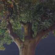 ヒメ日記 2025/11/11 21:08 投稿 さちこ 熟女の風俗最終章 新潟店