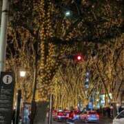 ヒメ日記 2025/12/19 09:32 投稿 さちこ 熟女の風俗最終章 新潟店