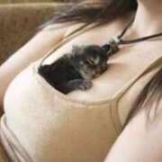 ヒメ日記 2026/02/12 17:53 投稿 さちこ 熟女の風俗最終章 新潟店