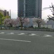 ヒメ日記 2025/04/14 23:16 投稿 水島 名古屋デッドボール