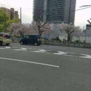 ヒメ日記 2025/05/17 09:56 投稿 水島 名古屋デッドボール