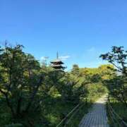 ヒメ日記 2025/04/26 13:17 投稿 こう いざ候 本館