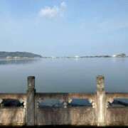 ヒメ日記 2025/04/29 14:37 投稿 こう いざ候 本館