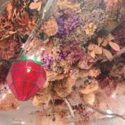 ヒメ日記 2025/05/02 21:17 投稿 こう いざ候 本館