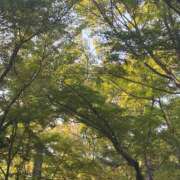 ヒメ日記 2025/06/04 18:57 投稿 こう いざ候 本館