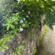 ヒメ日記 2025/06/07 12:57 投稿 こう いざ候 本館