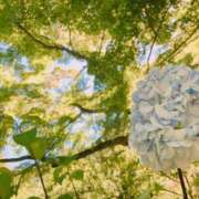 ヒメ日記 2025/06/08 13:06 投稿 こう いざ候 本館