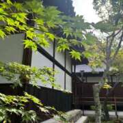 ヒメ日記 2025/06/12 19:06 投稿 こう いざ候 本館