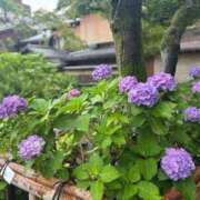 ヒメ日記 2025/06/14 12:50 投稿 こう いざ候 本館