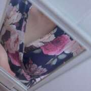 ヒメ日記 2025/06/30 00:29 投稿 こう いざ候 本館