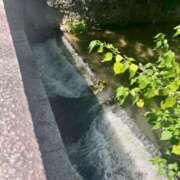 ヒメ日記 2025/07/16 15:12 投稿 こう いざ候 本館