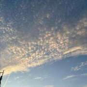 ヒメ日記 2025/07/24 15:07 投稿 こう いざ候 本館