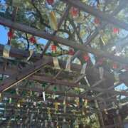 ヒメ日記 2025/08/22 16:17 投稿 こう いざ候 本館