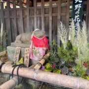 ヒメ日記 2025/08/27 13:02 投稿 こう いざ候 本館