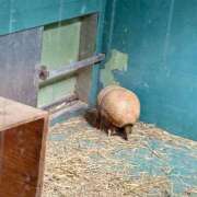 ヒメ日記 2025/09/28 12:59 投稿 こう いざ候 本館