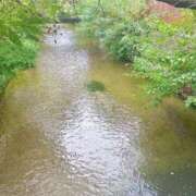 ヒメ日記 2025/10/12 13:11 投稿 こう いざ候 本館