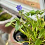 ヒメ日記 2025/10/13 12:57 投稿 こう いざ候 本館