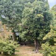 ヒメ日記 2025/10/25 13:02 投稿 こう いざ候 本館