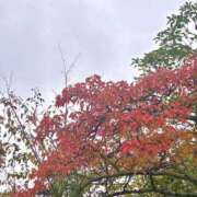 ヒメ日記 2025/10/26 13:07 投稿 こう いざ候 本館