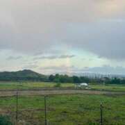 ヒメ日記 2025/11/13 21:07 投稿 こう いざ候 本館