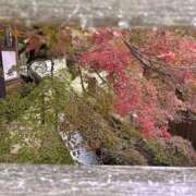 ヒメ日記 2025/11/14 14:57 投稿 こう いざ候 本館