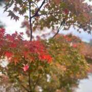 ヒメ日記 2025/11/18 14:37 投稿 こう いざ候 本館