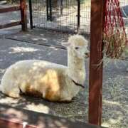 ヒメ日記 2025/12/30 12:57 投稿 こう いざ候 本館