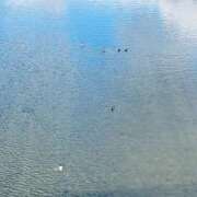 ヒメ日記 2026/01/03 13:01 投稿 こう いざ候 本館