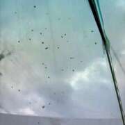 ヒメ日記 2026/01/11 12:57 投稿 こう いざ候 本館