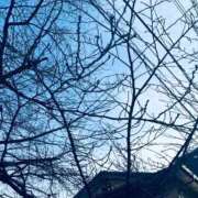 ヒメ日記 2026/01/15 14:47 投稿 こう いざ候 本館